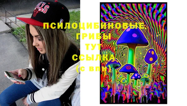 гидропоника Куйбышев