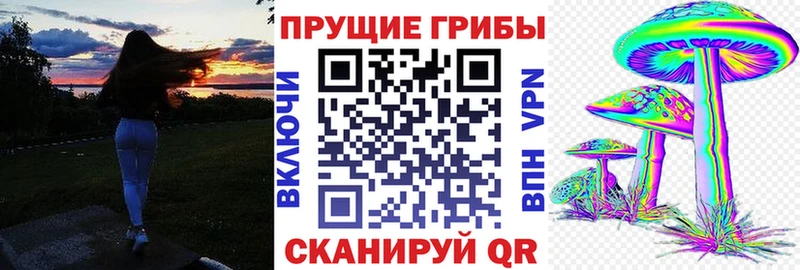 Галлюциногенные грибы MAGIC MUSHROOMS  Болохово 